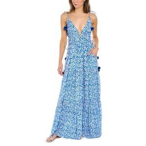 ASH & EDEN Simran Dress